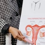 A person presents a detailed diagram of the female reproductive system on a whiteboard.
